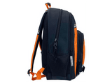 Mochila - Sherwood Dragon Ball Z, 42 cm, Correas ajustables, Respaldo acolchado