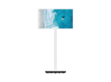 TV LED 32 - Thomson 32HG4M45, HD-ready, Mali G31 MP2 de doble núcleo, Google TV, DVB-T2 (H.265), Control por voz con el Asistente de Google, Blanco