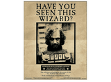 Póster 3D - Sherwood, Harry Potter/Sirius Black