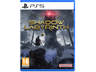 PS5 Shadow Labyrinth