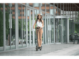 Patinete eléctrico - Segway-Ninebot F25E, 250 W, Hasta 100 kg, Velocidad 25 km/h, Autonomía 25km, Negro