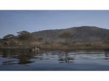 PS5 Way of the Hunter 2