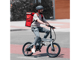Bicicleta urbana - smartGyro Nimbus, Eléctrica, Plegable, Potencia Nominal 250W, Velocidad 25 km/h, 60 km, IPX4, Gris