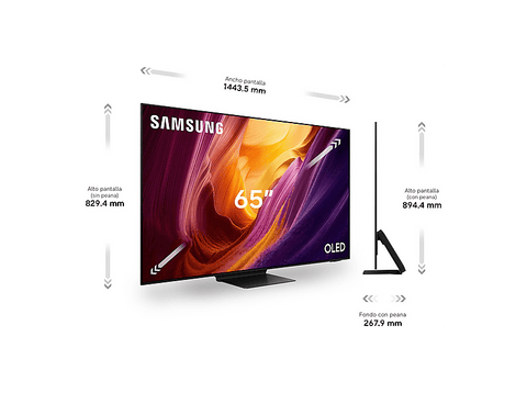 TV OLED 65