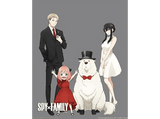 Póster 3D - Sherwood Spy X Family, Enmarcado, Licencia oficial