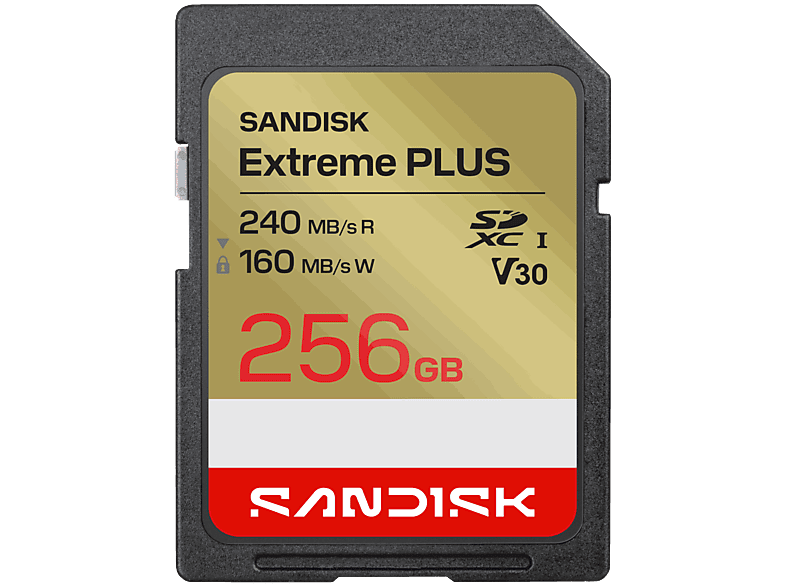 SANDISK Extreme Plus 256 GB Vídeo 4k UHD Hasta 240 MB/s lectura U3 V30 C10 UHS-I Oro