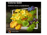 TV QLED 43 - Hisense 43S5Q, Diseño artístico, Modo Arte, Dolby Atmos & DTS X, Blanco