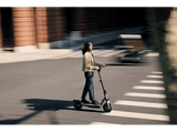 Patinete eléctrico - Segway E2 II, Potencia máx. 450W, Potencia  Nominal 250W, Carga 90 kg, 12000 mAh, 20 km/h, Negro