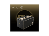 Altavoz bluetooth - PEAQ PPA 550-RW Retro, 60W, Bluetooth, 8h Autonomía, Edición Robbie Williams, True Wireless, Negro