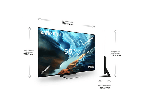 TV OLED 55