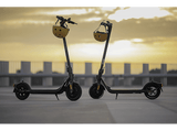 Patinete eléctrico - Segway-Ninebot F25E, 250 W, Hasta 100 kg, Velocidad 25 km/h, Autonomía 25km, Negro