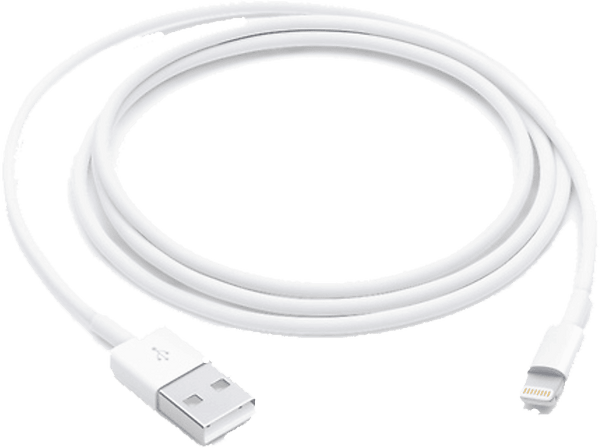 Apple Cable Lightning a USB 121820