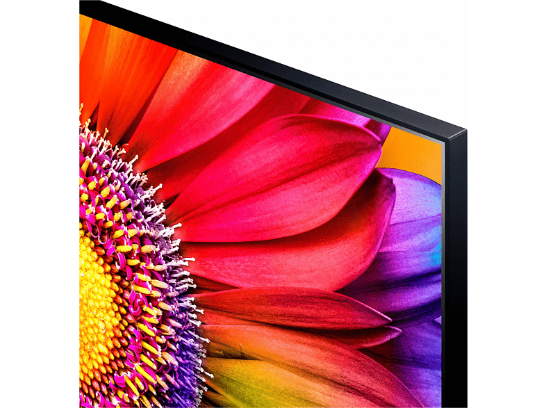 TV LED 65 - LG 65UR80006LJ, UHD 4K, Inteligente α5 4K Gen6, Smart TV, DVB-T2 (H.265), Azul Ceniza