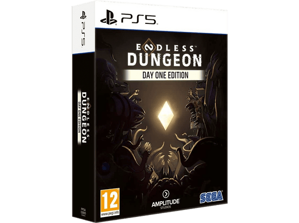 PS5 Endless Dungeon