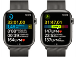 Apple Watch S8 (2022), GPS+CELL, 45 mm,  Caja de acero inoxidable, Vidrio delantero Ion-X, Correa Milanese loop graphito