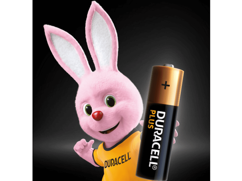 Pilas AA - Duracell PLUS MX1500 AA LR06 / LR6, Pilas alcalinas 1.5 V,  Paquete 12 unidades, Negro