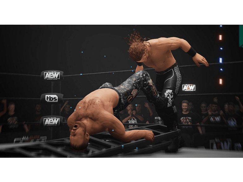 PS5 All Elite Wrestling: Fight Forever