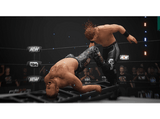 PS5 All Elite Wrestling: Fight Forever
