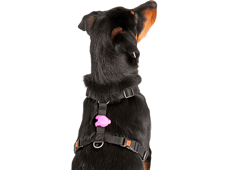 Collar luz LED - Flamingo Day & Night Blinkis, Para mascotas, Silicona, 1 unidad, Color surtido
