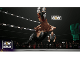 PS5 All Elite Wrestling: Fight Forever