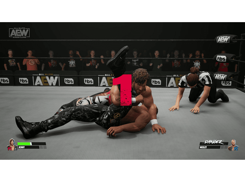Xbox One & Xbox Series X All Elite Wrestling: Fight Forever