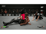 Xbox One & Xbox Series X All Elite Wrestling: Fight Forever
