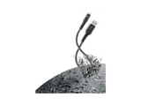 Cellularline TETRACABMFI2MK USB A Lightning Negro, Gris adaptador de cable