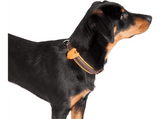 Collar luz LED - Flamingo Day & Night Blinkis, Para mascotas, Silicona, 1 unidad, Color surtido