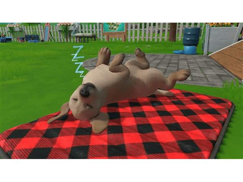 Nintendo Switch Little Friends Puppy Island