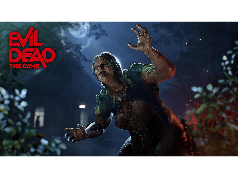 PS4 Evil Dead: The Game
