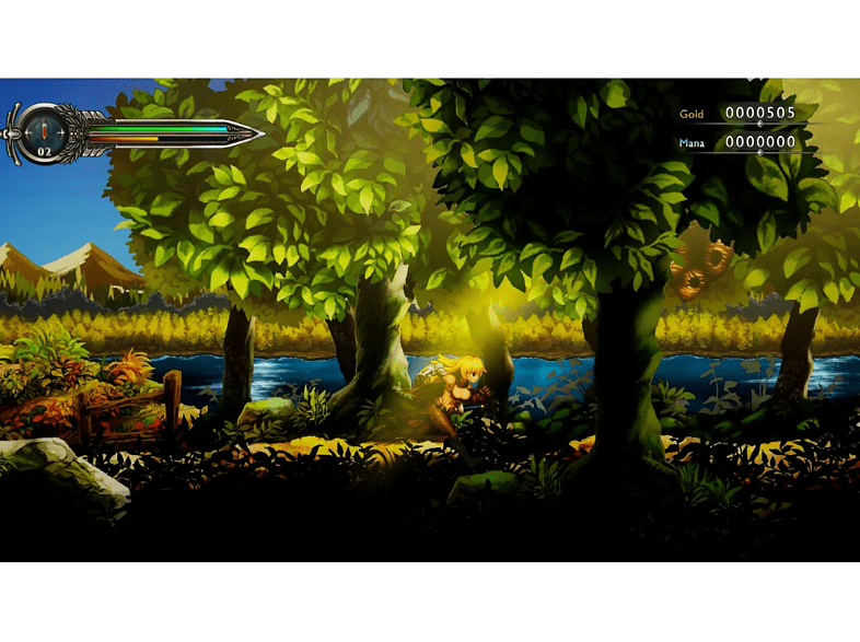 Nintendo Switch Sword of the Vagrant