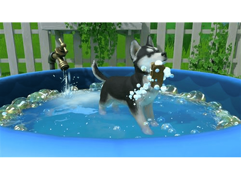 Nintendo Switch Little Friends Puppy Island