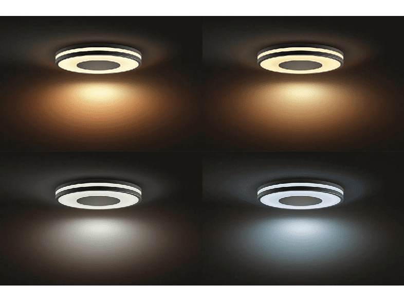 Plafón LED- Philips Hue Being, LED Negro inteligente con mando, Luz blanca de cálida a fría, Domótica