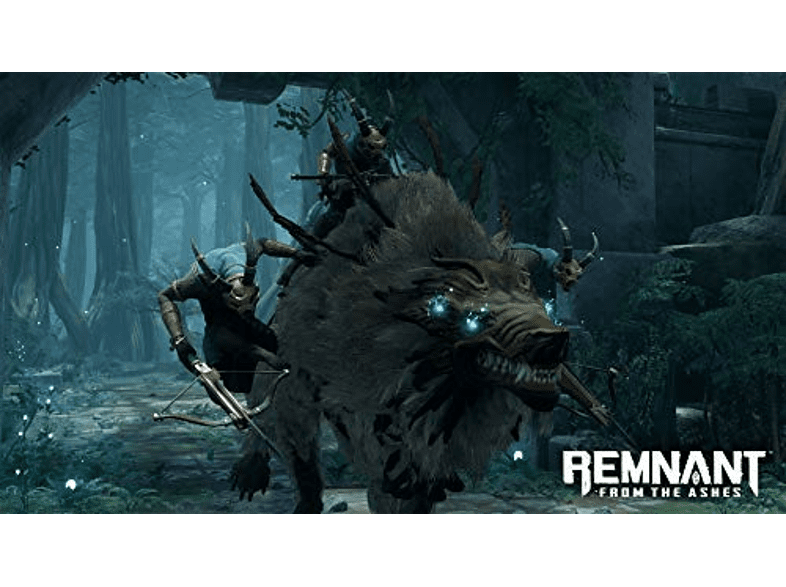 Nintendo Switch Remnant: From the Ashes