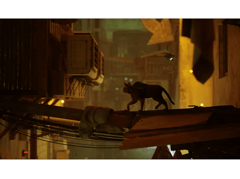 PS4 Stray