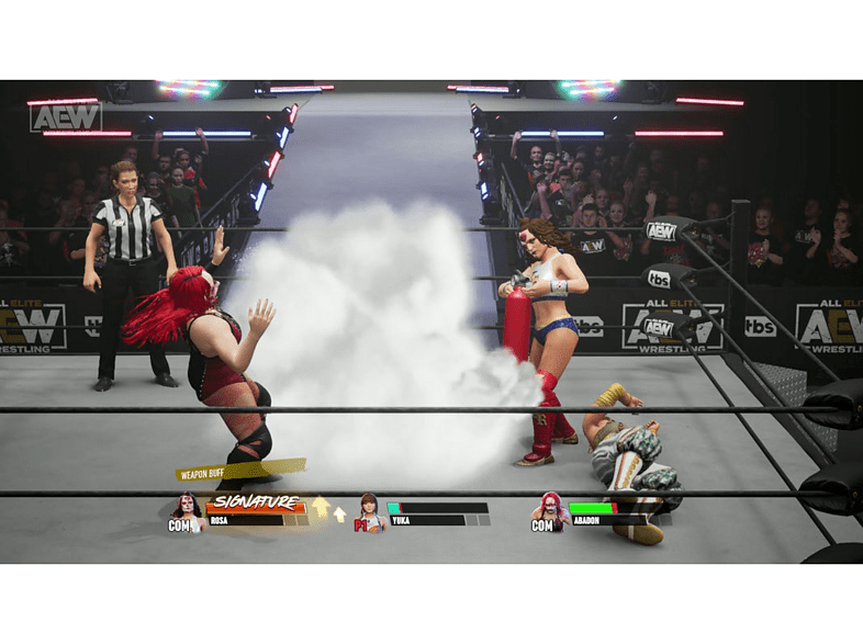 PS5 All Elite Wrestling: Fight Forever