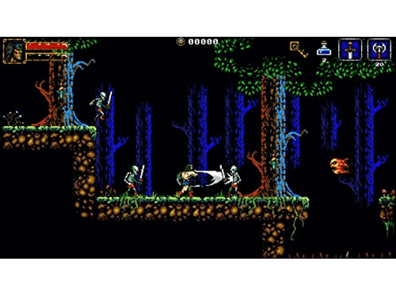 Nintendo Switch Beholgar