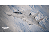 PS4 Ace Combat 7: Skies Unknown Top Gun, Edición Maverick