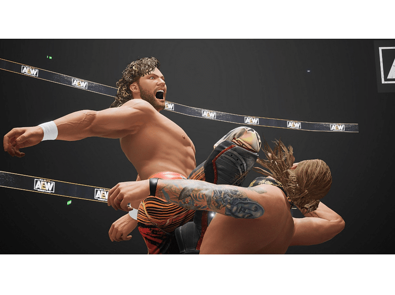 PS5 All Elite Wrestling: Fight Forever