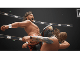 PS5 All Elite Wrestling: Fight Forever