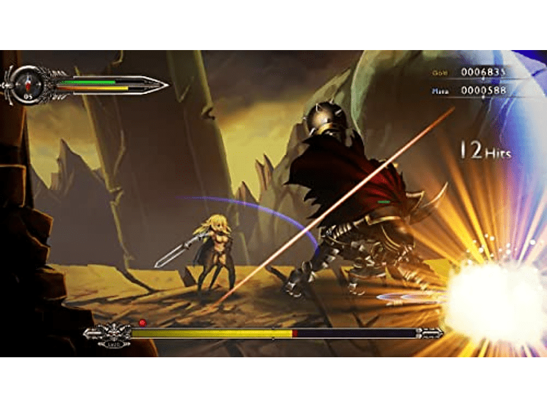 PS4 Sword of the Vagrant