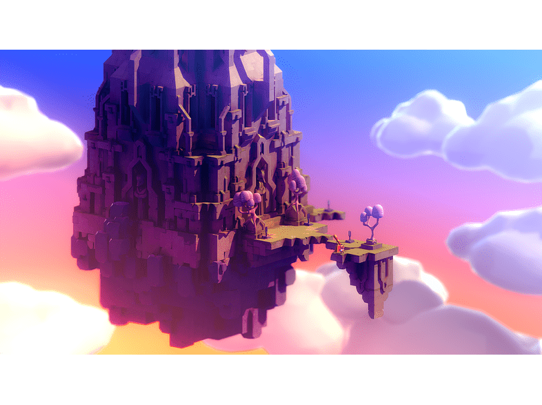 PS4 Tunic