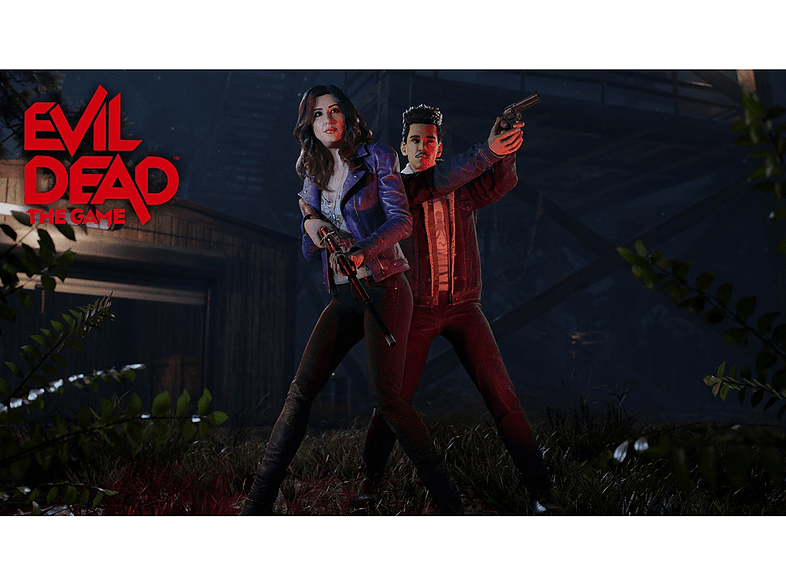 PS4 Evil Dead: The Game