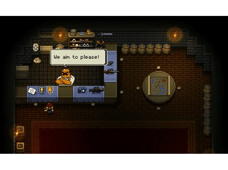 Nintendo Switch Enter/Exit the Gungeon