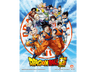 Póster 3D - Sherwood Dragon Ball Super: Goku & Z Fighters, 23.5 x 28.5 cm, Efecto 3D