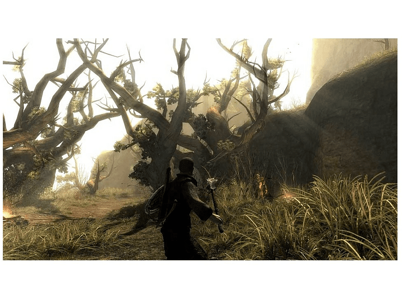PS4 Risen