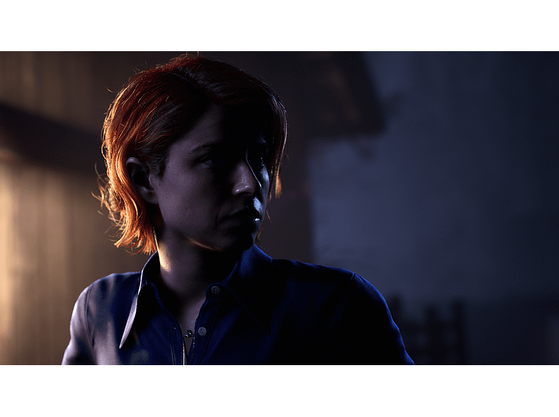 PS4 The Dark Pictures Anthology: The Devil In Me