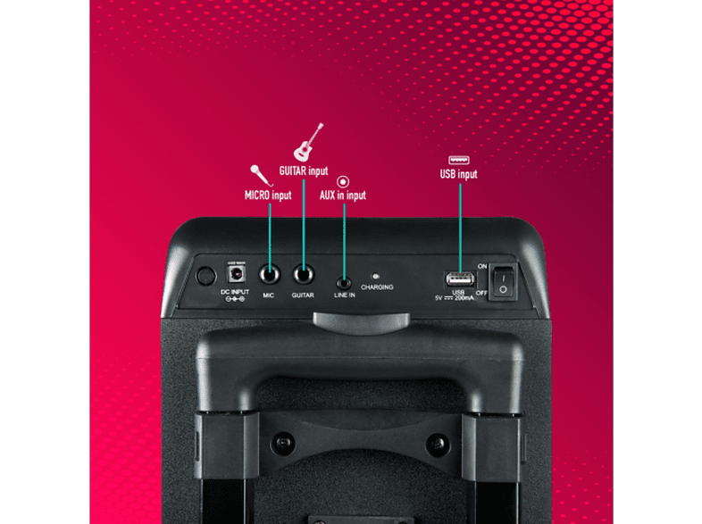 Altavoz inalámbrico - NGS Premium Portable Speaker Wild Rave 1, 200 W, Bluetooth 5.0, Luces LED, Negro