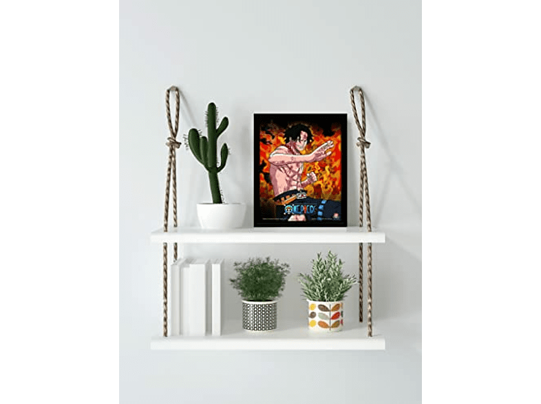 Póster 3D - Sherwood One Piece Brothers Burning Rage