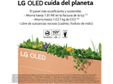 TV OLED 55 - LG OLED55B26LA, OLED 4K, Procesador α7 Gen5 AI Processor 4K, Smart TV, DVB-T2 (H.265), Negro